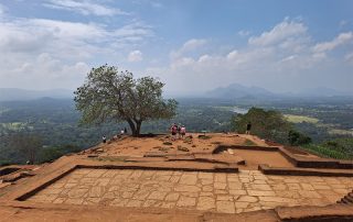 Sigiriya Rock On Top, Sri Lanka